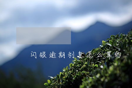 闪银逾期利息怎么算的