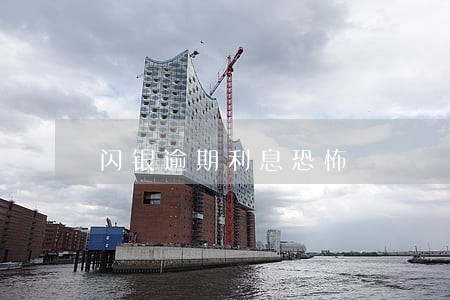 闪银逾期利息恐怖 闪银逾期利息恐怖