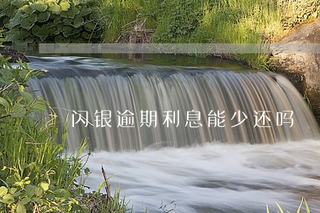 闪银逾期利息能少还吗 闪银逾期利息能少还吗