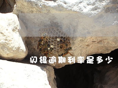 闪银逾期利率是多少 闪银逾期利率是多少