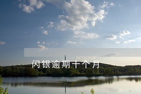 闪银逾期十个月 闪银逾期十个月