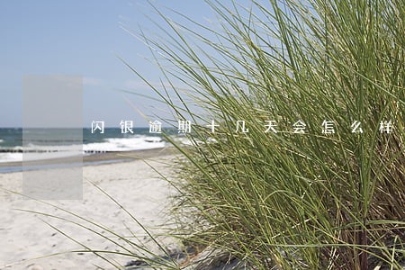 闪银逾期十几天会怎么样 闪银逾期十几天会怎么样