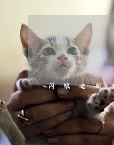 闪银逾期十天怎么处理 闪银逾期十天怎么处理