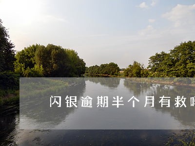 闪银逾期半个月有救吗 闪银逾期半个月有救吗