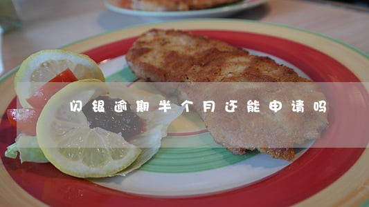 闪银逾期半个月还能申请吗 闪银逾期半个月还能申请吗