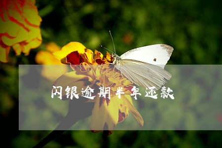 闪银逾期半年还款 闪银逾期半年还款