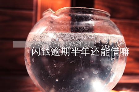 闪银逾期半年还能借嘛