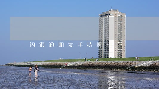 闪银逾期发手持照片