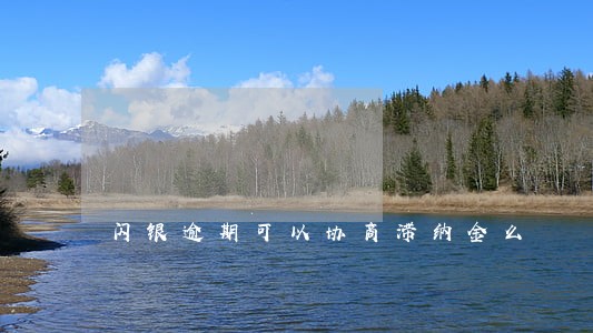 闪银逾期可以协商滞纳金么 闪银逾期可以协商滞纳金么