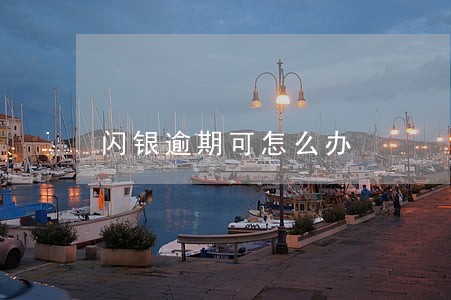 闪银逾期可怎么办 闪银逾期可怎么办
