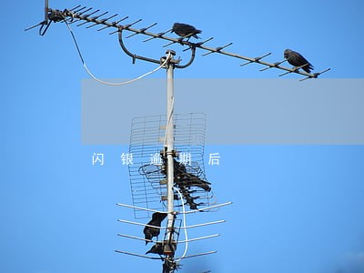 闪银逾期后 闪银逾期后