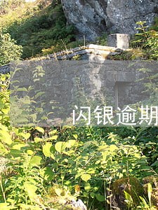 闪银逾期后上征信 闪银逾期后上征信