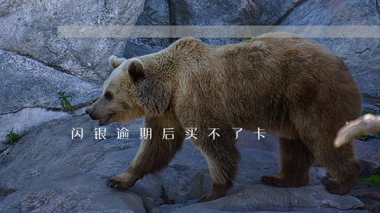 闪银逾期后买不了卡 闪银逾期后买不了卡