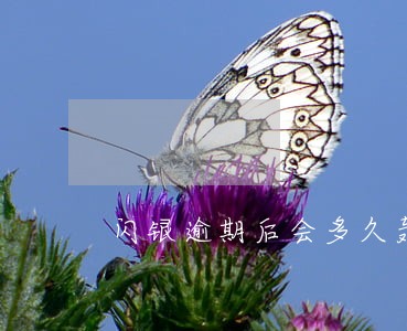 闪银逾期后会多久轰炸 闪银逾期后会多久轰炸
