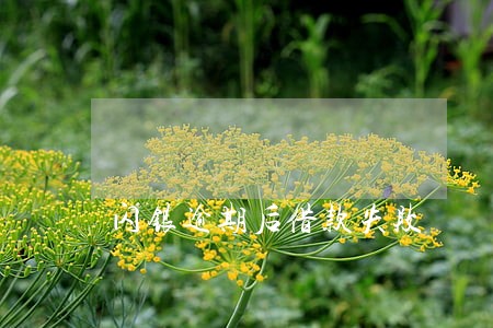 闪银逾期后借款失败 闪银逾期后借款失败