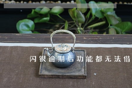 闪银逾期后功能都无法借款 闪银逾期后功能都无法借款