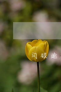 闪银逾期后还上结不了款了吗 闪银逾期后还上结不了款了吗