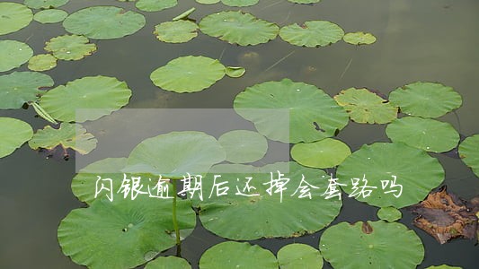 闪银逾期后还掉会套路吗 闪银逾期后还掉会套路吗