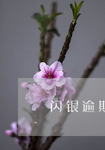 闪银逾期后还清了还能借款嘛 闪银逾期后还清了还能借款嘛