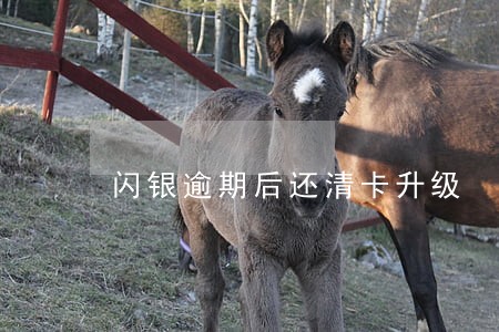 闪银逾期后还清卡升级 闪银逾期后还清卡升级