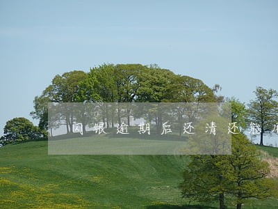 闪银逾期后还清还能用吗 闪银逾期后还清还能用吗