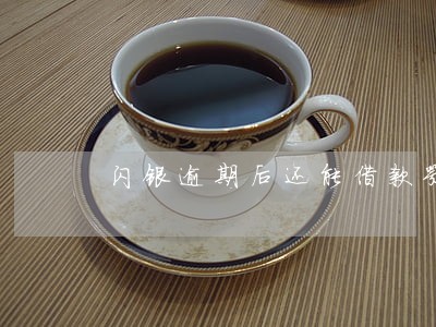 闪银逾期后还能借款嘛 闪银逾期后还能借款嘛