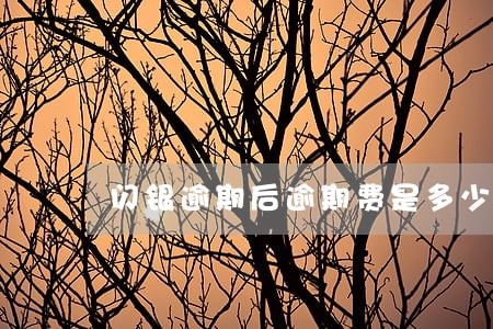 闪银逾期后逾期费是多少 闪银逾期后逾期费是多少