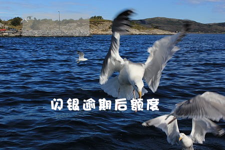 闪银逾期后额度 闪银逾期后额度