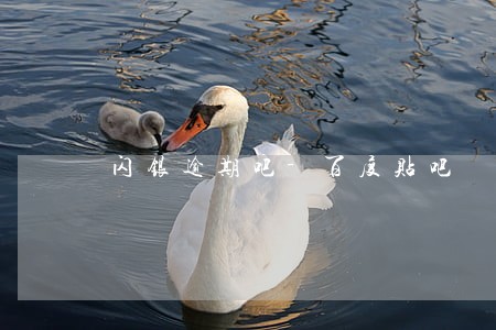 闪银逾期吧-百度贴吧 闪银逾期吧-百度贴吧