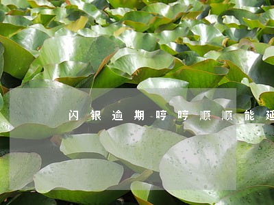 闪银逾期哼哼顺顺能延期吗 闪银逾期哼哼顺顺能延期吗