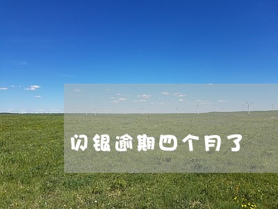 闪银逾期四个月了 闪银逾期四个月了