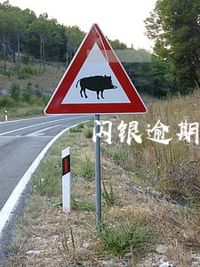 闪银逾期四天包通讯录