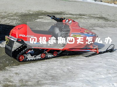 闪银逾期四天怎么办 闪银逾期四天怎么办