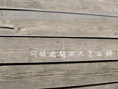 闪银逾期四天怎么样 闪银逾期四天怎么样