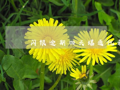 闪银逾期四天爆通讯录 闪银逾期四天爆通讯录