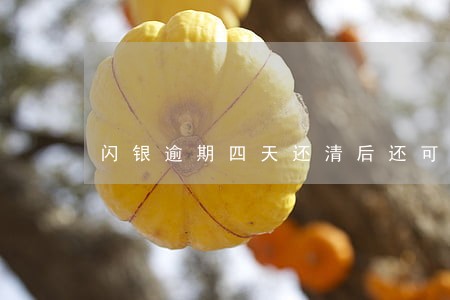 闪银逾期四天还清后还可以再借吗 闪银逾期四天还清后还可以再借吗