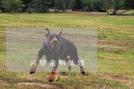闪银逾期处理 闪银逾期处理
