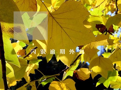 闪银逾期外包 闪银逾期外包