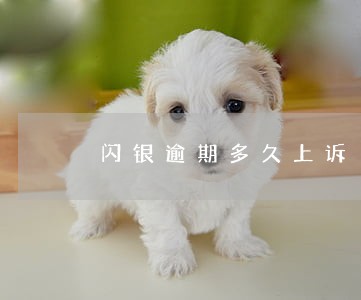 闪银逾期多久上诉 闪银逾期多久上诉