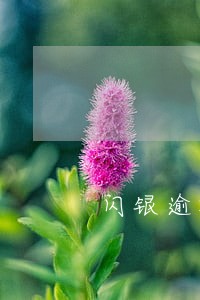 闪银逾期多久上门催收 闪银逾期多久上门催收