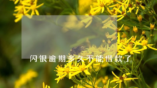 闪银逾期多久不能借款了 闪银逾期多久不能借款了