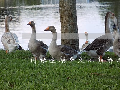 闪银逾期多久不能解冻 闪银逾期多久不能解冻