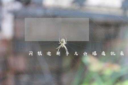 闪银逾期多久会爆通讯录 闪银逾期多久会爆通讯录