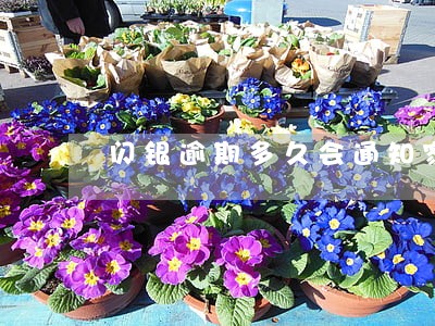 闪银逾期多久会通知家人 闪银逾期多久会通知家人