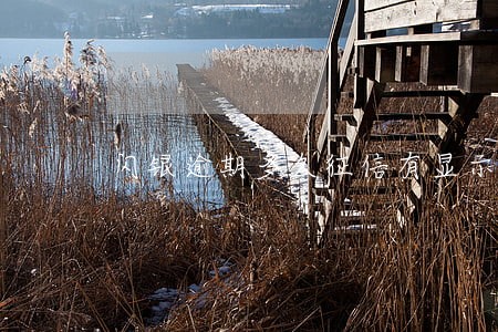 闪银逾期多久征信有显示 闪银逾期多久征信有显示