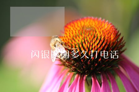 闪银逾期多久打电话 闪银逾期多久打电话