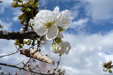 闪银逾期多久永久封印 闪银逾期多久永久封印