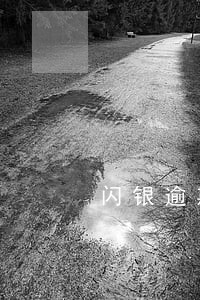 闪银逾期多久给联系人打电话