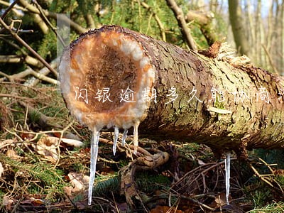 闪银逾期多久能协商滞纳金 闪银逾期多久能协商滞纳金