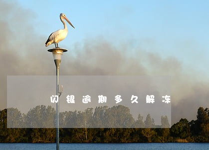 闪银逾期多久解冻 闪银逾期多久解冻